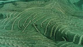 �~(y��)�[�����w�D