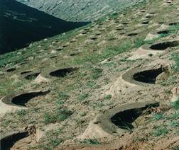 �~(y��)�[�ӂ�(c��)��