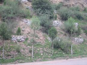 �~(y��)�[��ֲ��