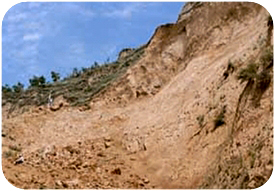 �������g���a�