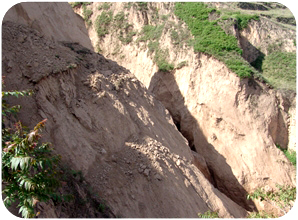 �������g��������