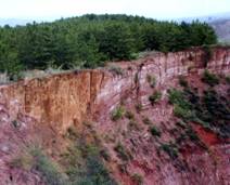 �������g