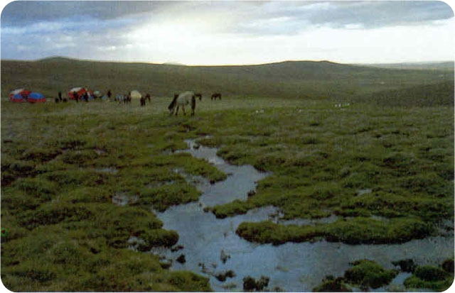 �S��Դ�^�؅^(q��)