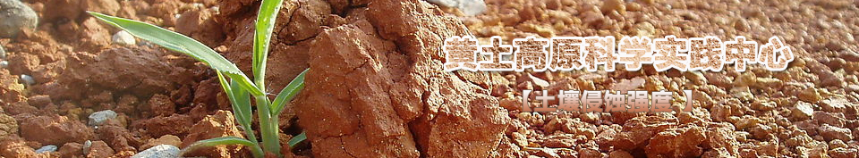 �������g����