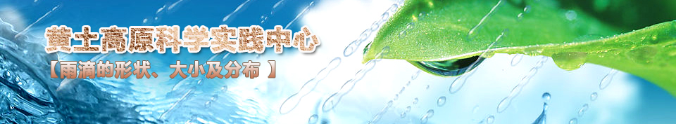 ��ε��Π�����С���ֲ�