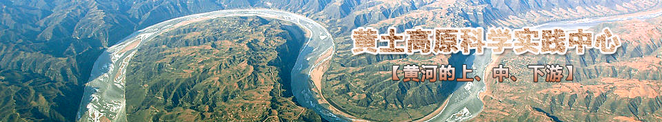 �S�ӵ��ϡ���������