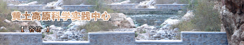 ���µ�·���g����