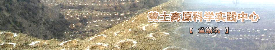 �~(y��)�[��