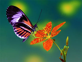 ��(sh��)�W(xu��)��(l��)�@