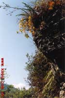 ���������������»��^�mʢ�_�����ݮ��z��