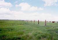 ���ô���Ȼ�ݵ�