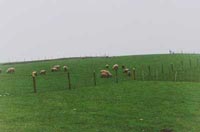 Ӣ���˹��ݵ�