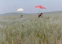 ����݈�(ch��ng)