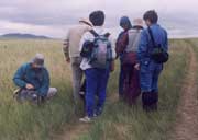 �ݵؿ����ˆTҰ�⿼��