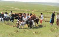 ��������܇