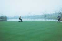 �ߠ��������ƺ