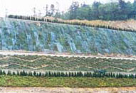 草坪建植有技術(shù)