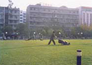 �����˲�����V�����޽�