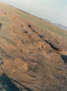 ��·�L(f��ng)�g��ɲݵ��˻�