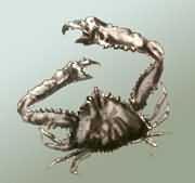 ���L(zh��ng)��(ji��)��з