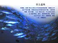 ʲô���~(y��)��