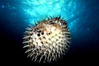 ȫ�����M���̵��~��������