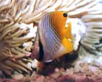 �z�����~