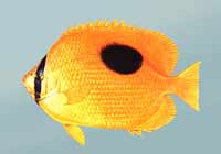 �R�����~