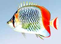 ��y�����~