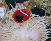 �חl�p��~(y��)