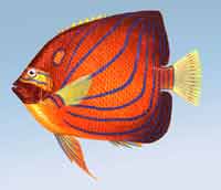 ��h(hu��n)���w�~