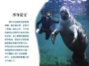 ��ţ�������ǌ�