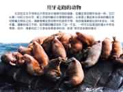 �����X��·�Ą��������