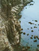 ���r�����ĺ��g��òg����ƽ̶�u�ϵĺ��g���񷫴�һ�Ӹ߸ߵ������ں��u��