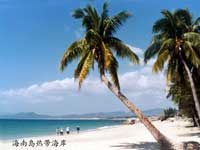 ������|����(x��)�r�İ�ɳ��