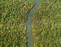 ������������(n��i)�ֲ��܏V�ļt����