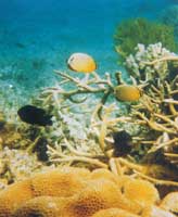 ɺ�����еğᎧ�~(y��)