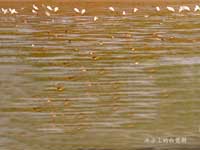 �ӝɝ�ص����B(t��i)�h(hu��n)�� 