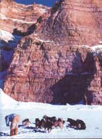 ����ѩ���Ǳ��O�˵���Ҫ��ͨ����