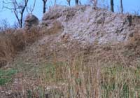 ��۵�̎��Ҋ�Ĺ�ؐ�����z