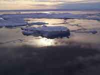 ����{�ĸ���