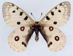 �����_����