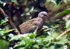 ���i���F