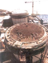 �m��(d��ng)�l(f��)չ���