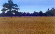 �����Ļȅ^(q��)������ͩ��С���g��