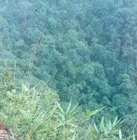 30�����(n��i)���Ѕ^(q��)�e