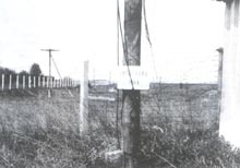 Ŀǰ���Р��Zؐ���Ա��F�z�W(w��ng)�o�o���@