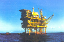 �����;��D�D������ϲɺ��ϣ������ϵ�ʯ��Խ��Խ����