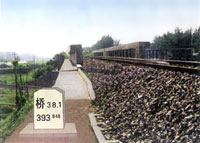 ������(bi��o)