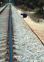 ��O������܉���ľ�·